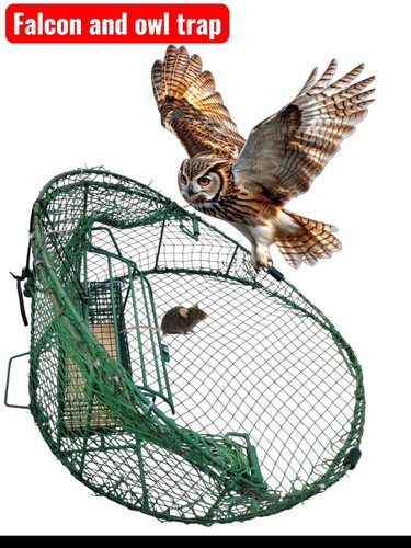 Safe bird trap - , catching